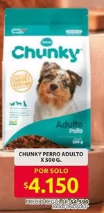 Chunky - PERRO ADULTO
