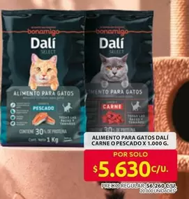 Alimento para gatos