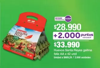 Santa Reyes - Huevos  gallina feliz AA