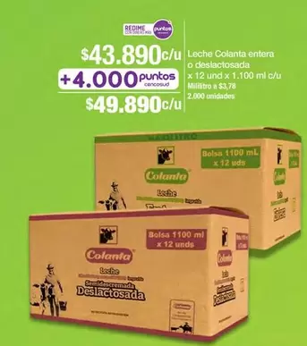 Colanta - Leche Entera O Deslactosada