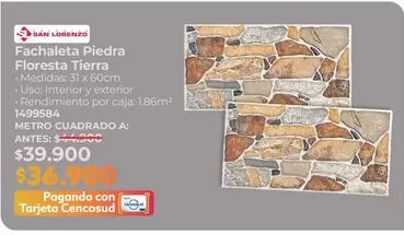 San Lorenzo - Fachaleta Piedra Floresta Tierra