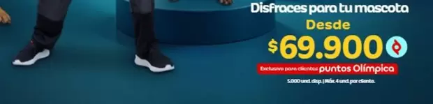 Exclusive - Disfraces para tu mascota