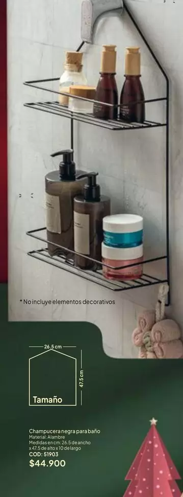 Champú y Acondicionador