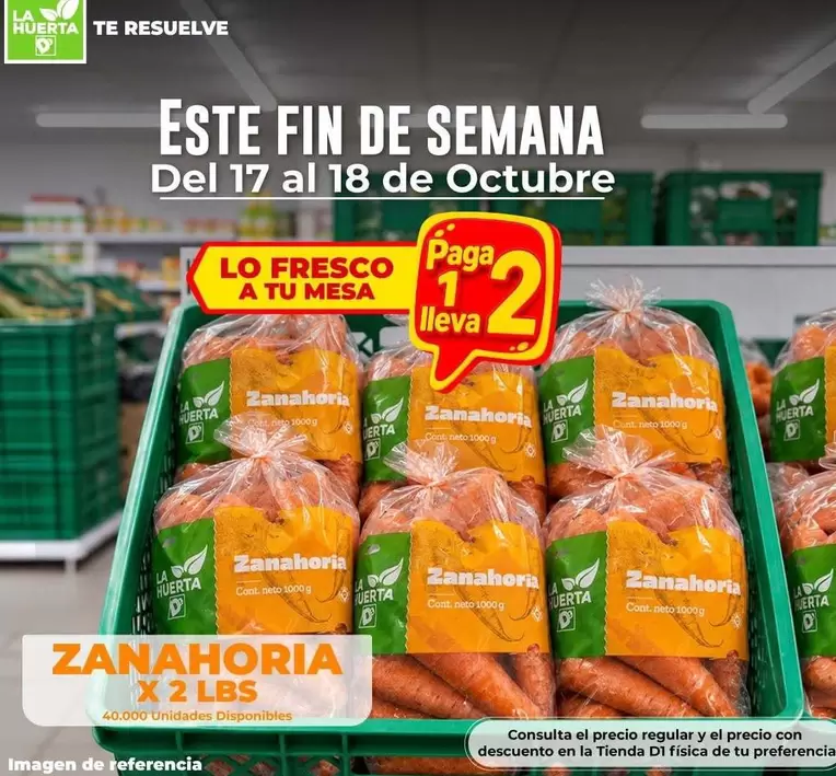 La Huerta - ZANAHORIA