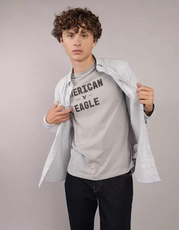 Camisa de Oxford Slim Fit Everyday Ae