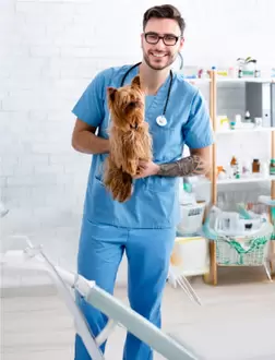 Descuentos en Petplus