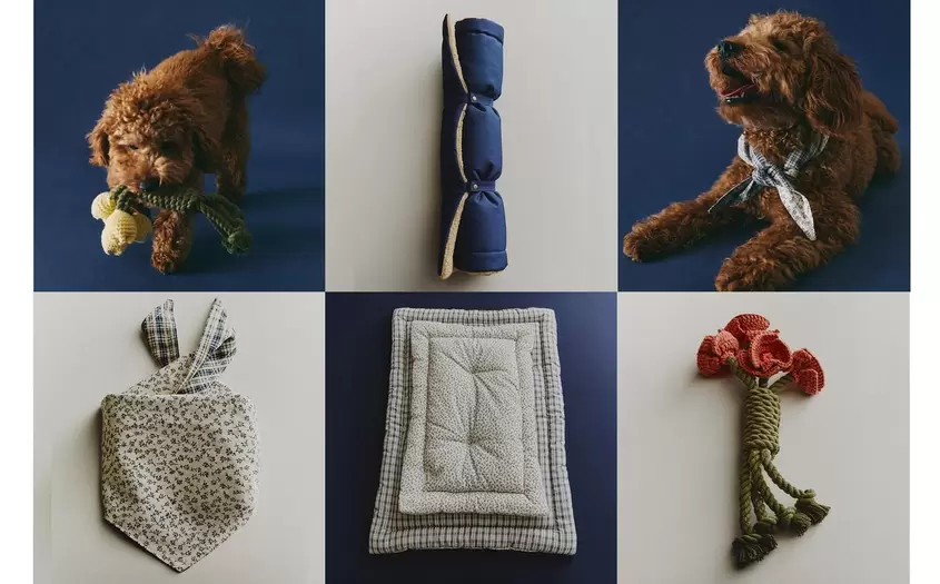 ACCESORIOS FLORES Y JUGUETE RAMO MASCOTAS