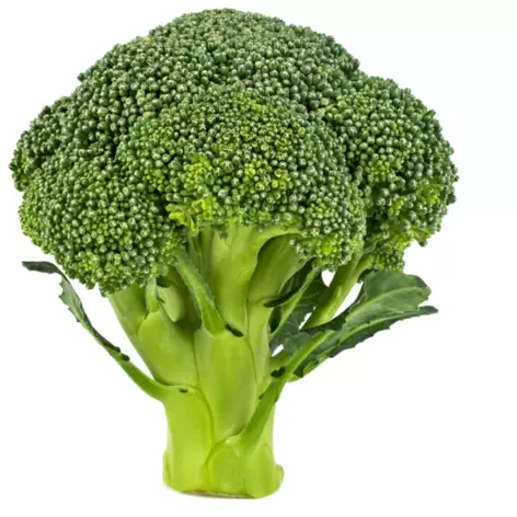 Brocoli