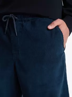 Taxer Regular Cord ‑ Pantalones para hombre