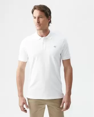 Polo Muscle