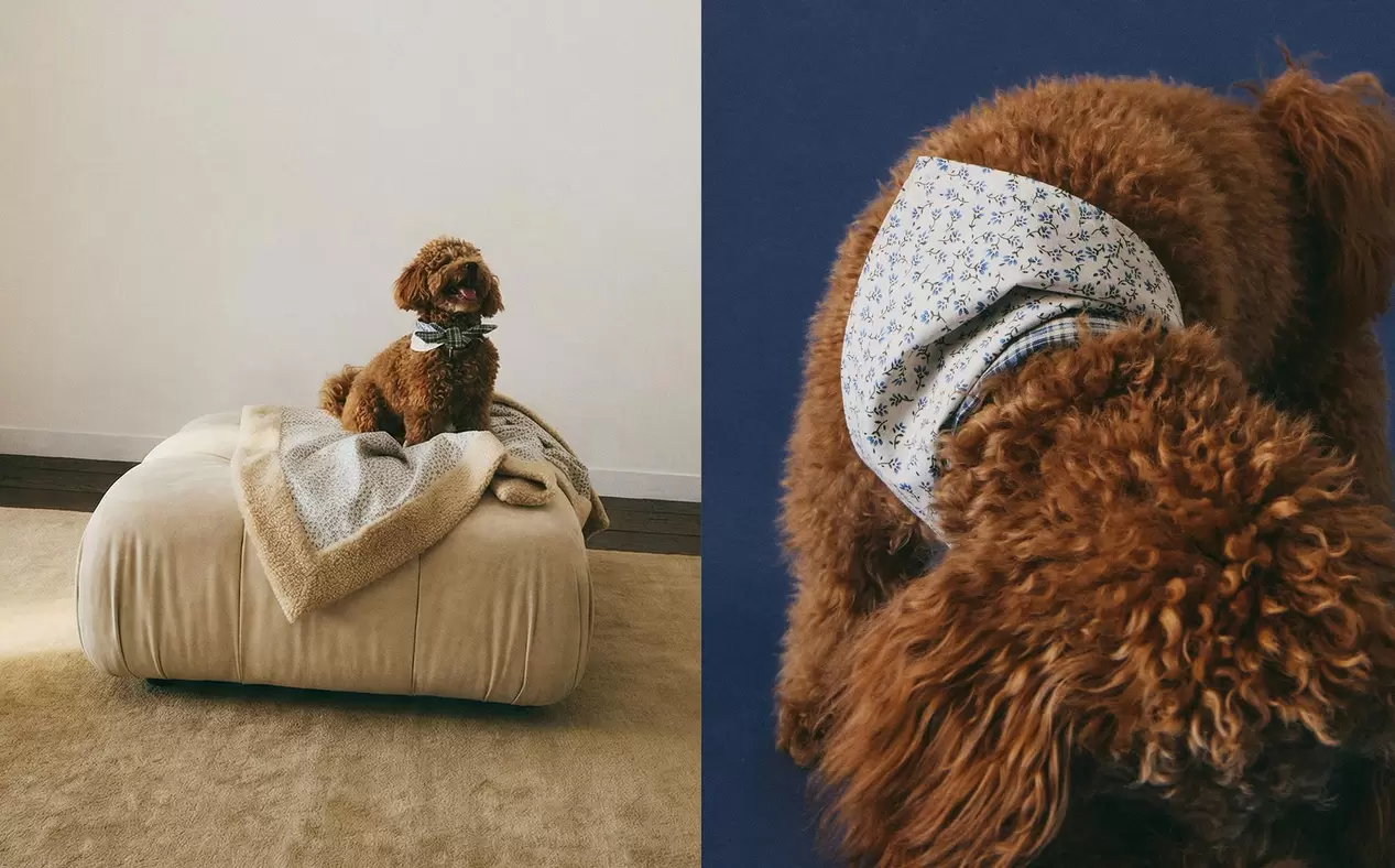 BANDANA ALGODÓN FLORES MASCOTAS