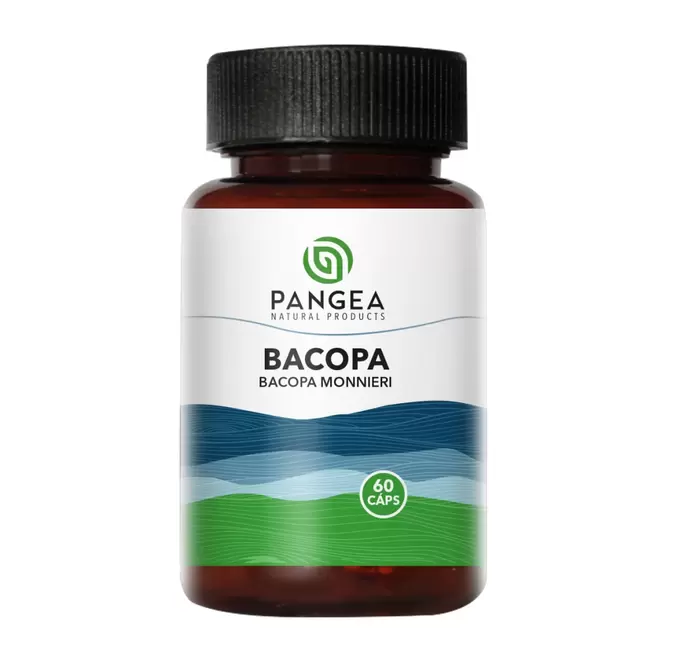 Bacopa 500 mg 60 Capsulas Pangea