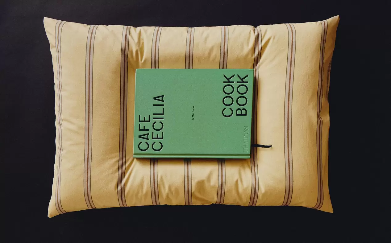 LIBRO Y FUNDA DE ALMOHADA