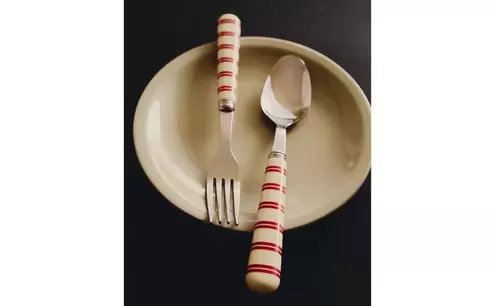 SET CUBIERTOS 4 PIEZAS MANGO RAYAS