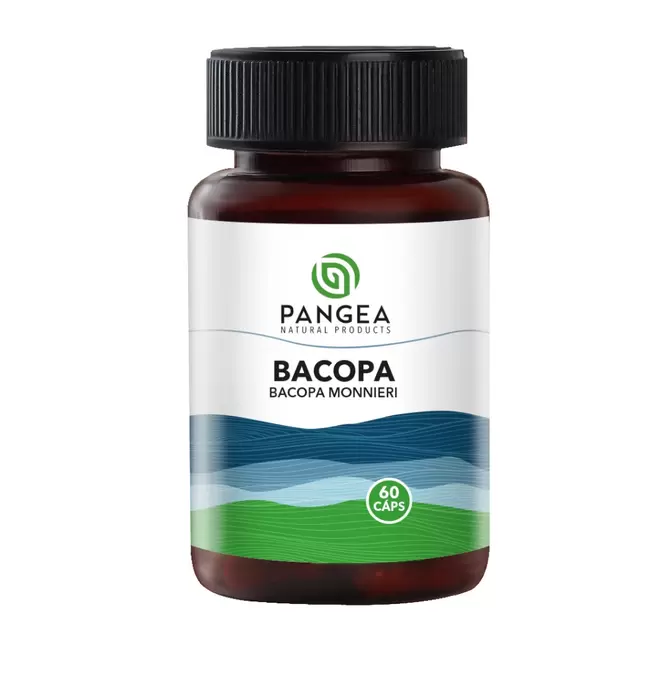Bacopa 500 mg 60 Capsulas Pangea