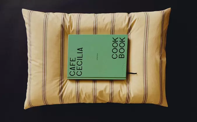 LIBRO Y FUNDA DE ALMOHADA