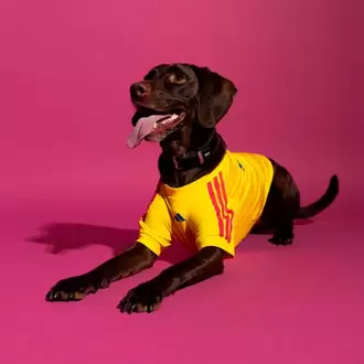 Camiseta Mascotas Adidas Selección Colombia Fcf
