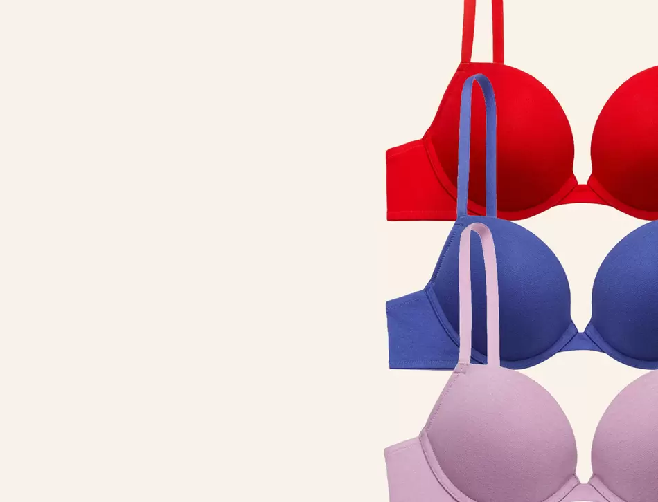 Sale Bras $19.99