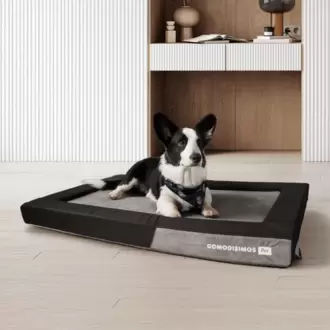 Cama Cozy Fun Mediana
