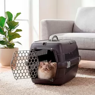 Guacal Para Gato