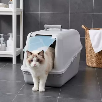 Arenero Para Gato Con Puerta