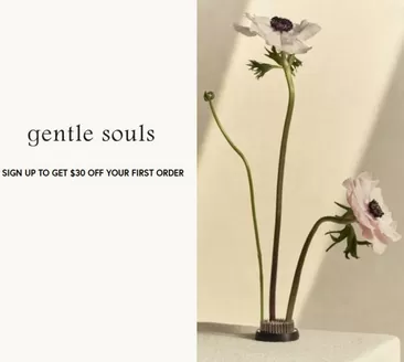 Catálogo Kenneth Cole | Gentle Soul to Get $30 OFF your first order | 2025-11-27T00:00:00.000Z - 2025-12-31T00:00:00.000Z