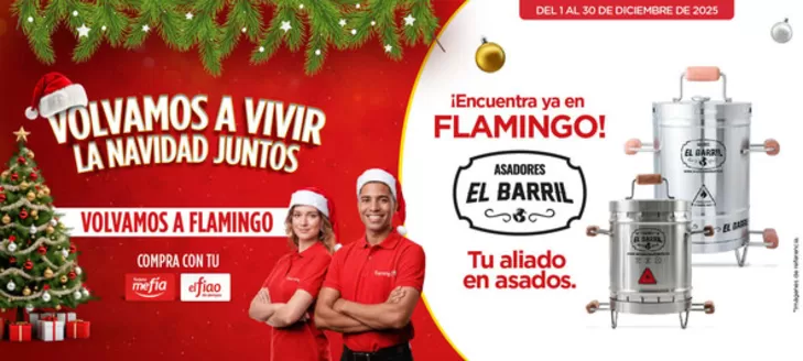Catálogo Flamingo en Segovia | Gangas y ofertas actuales | 2025-12-01T00:00:00.000Z - 2025-12-30T00:00:00.000Z