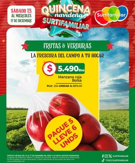 Catálogo Surtifamiliar | Ofertas para cazadores de gangas | 2025-12-13T00:00:00.000Z - 2025-12-17T00:00:00.000Z