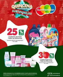 Catálogo Surtifamiliar | Ofertas y promociones actuales | 2025-12-13T00:00:00.000Z - 2025-12-17T00:00:00.000Z