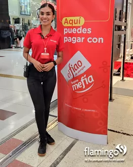 Catálogo Flamingo en Medellín | Ofertas Flamingo | 2025-12-16T00:00:00.000Z - 2025-12-30T00:00:00.000Z