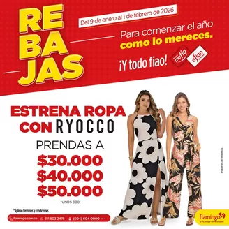 Catálogo Flamingo en Valledupar | Excelente oferta para todos los clientes | 2026-01-09T00:00:00.000Z - 2026-02-01T00:00:00.000Z