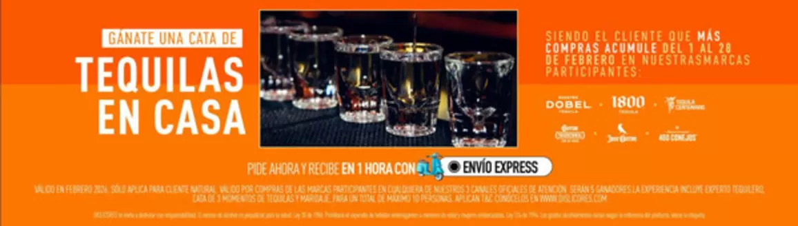 Catálogo Dislicores | Promociones del Mes | 2026-02-03T00:00:00.000Z - 2026-02-28T00:00:00.000Z