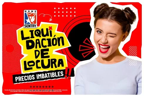 Catálogo Home Sentry en Suan | Precios Imbatibles | 2026-02-17T00:00:00.000Z - 2026-03-09T00:00:00.000Z