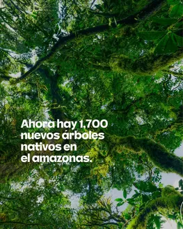 Catálogo Tiendas D1 en Santa Marta | Ofertas Tiendas D1 | 2026-03-06T00:00:00.000Z - 2026-03-20T00:00:00.000Z