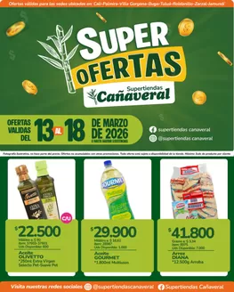 Catálogo Supertiendas Cañaveral en Chía | Promociones actuales | 2026-03-13T00:00:00.000Z - 2026-03-18T00:00:00.000Z