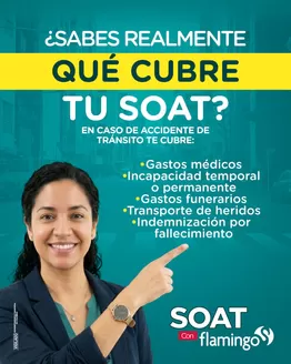 Catálogo Flamingo | Nuestras mejores ofertas para ti | 2026-04-16T00:00:00.000Z - 2026-04-30T00:00:00.000Z