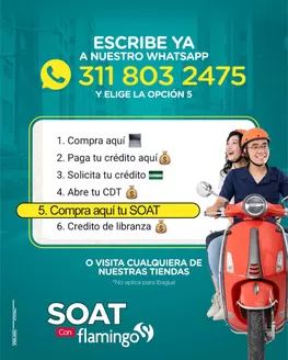 Catálogo Flamingo | Ofertas especiales para ti | 2026-04-16T00:00:00.000Z - 2026-04-30T00:00:00.000Z