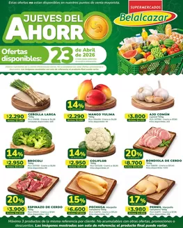 Catálogo Belalcazar en Nuevo Colón | Ofertas Belalcazar | 2026-04-23T00:00:00.000Z - 2026-04-23T00:00:00.000Z