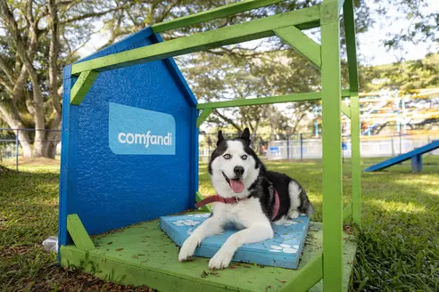 Catálogo Comfandi en Cartago | Ofertas Comfandi | 2026-05-13T00:00:00.000Z - 2026-05-27T00:00:00.000Z