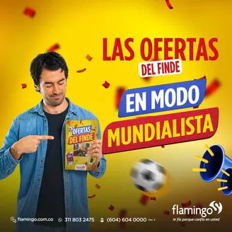 Catálogo Flamingo | Ofertas Flamingo | 2026-05-16T00:00:00.000Z - 2026-05-30T00:00:00.000Z