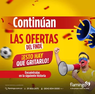 Catálogo Flamingo | Ofertas Flamingo | 2026-06-07T00:00:00.000Z - 2026-06-21T00:00:00.000Z
