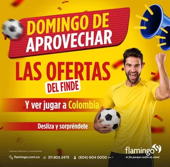Catálogo Flamingo | Ofertas Flamingo | 2026-06-08T00:00:00.000Z - 2026-06-22T00:00:00.000Z