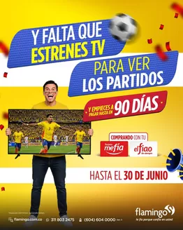 Catálogo Flamingo | Ofertas Flamingo | 2026-06-10T00:00:00.000Z - 2026-06-30T00:00:00.000Z