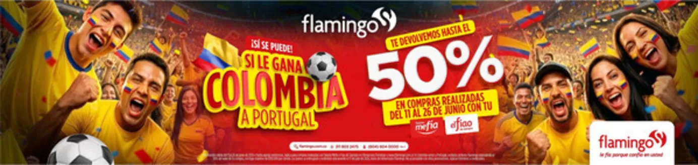 Catálogo Flamingo en Aldana | Grandes descuentos en productos seleccionados | 2026-06-11T00:00:00.000Z - 2026-06-26T00:00:00.000Z