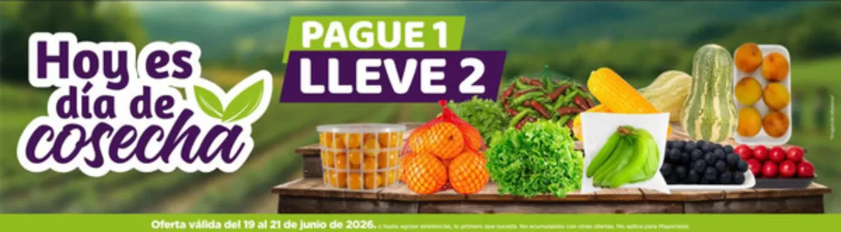 Catálogo MegaTiendas | Paga 1 Lleva 2 | 2026-06-19T00:00:00.000Z - 2026-06-21T00:00:00.000Z
