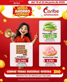 Catálogo Caribe Supermercados | Volante BUYGAA | 2026-06-19T00:00:00.000Z - 2026-06-22T00:00:00.000Z