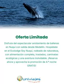 Catálogo Univiajes | Oferta Limitada | 2026-07-22T00:00:00.000Z - 2026-07-31T00:00:00.000Z