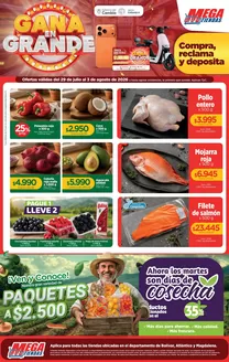 Catálogo MegaTiendas | Ofertas MegaTiendas | 2026-07-29T00:00:00.000Z - 2026-08-03T00:00:00.000Z