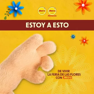 Catálogo Metro | Ofertas Metro | 2026-08-01T00:00:00.000Z - 2026-08-15T00:00:00.000Z