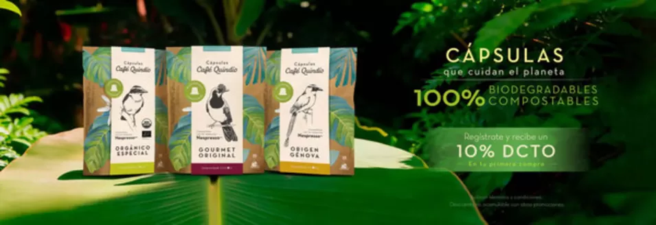 Catálogo Café Quindío | Ofertas | 2026-08-11T00:00:00.000Z - 2026-08-31T00:00:00.000Z
